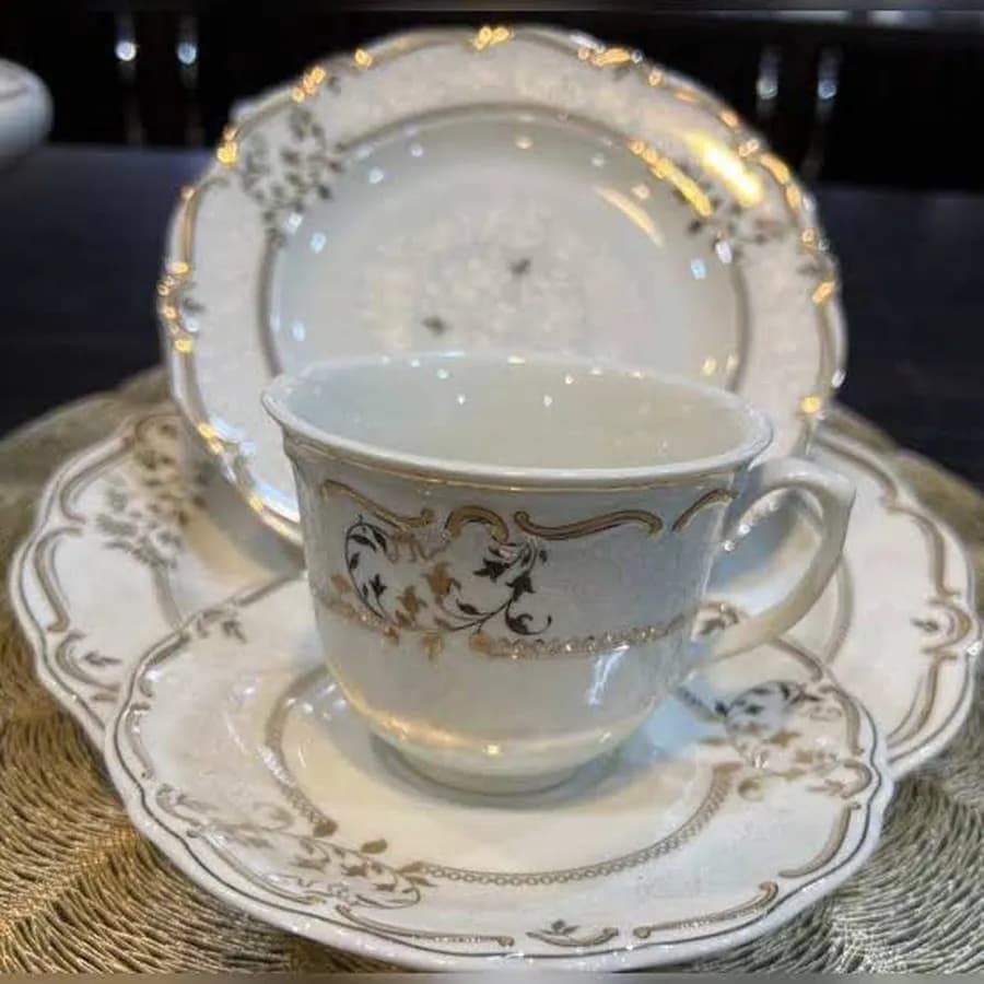سرویس چینی پردیس طرح پائولا 12 نفره 98 پارچه نیوبن قالب ایزابل — تصویر ۵