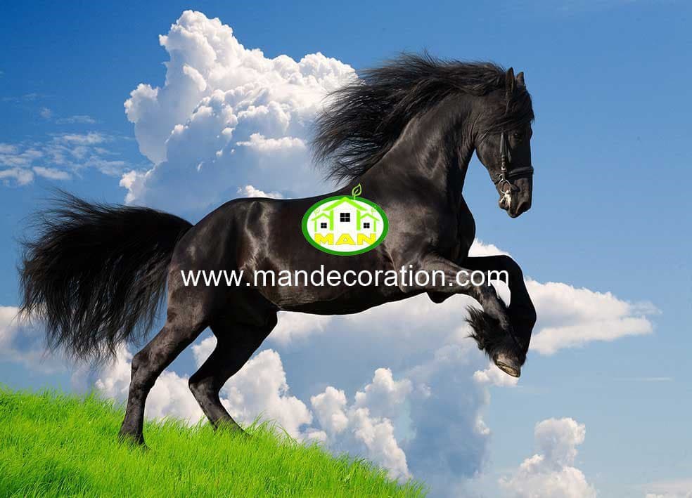 پوستردیواری اسب 13337