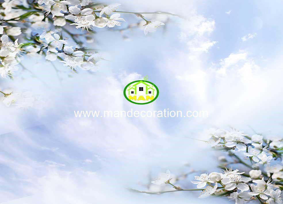 آسمان مجازی آسمان شکوفه کد 13241