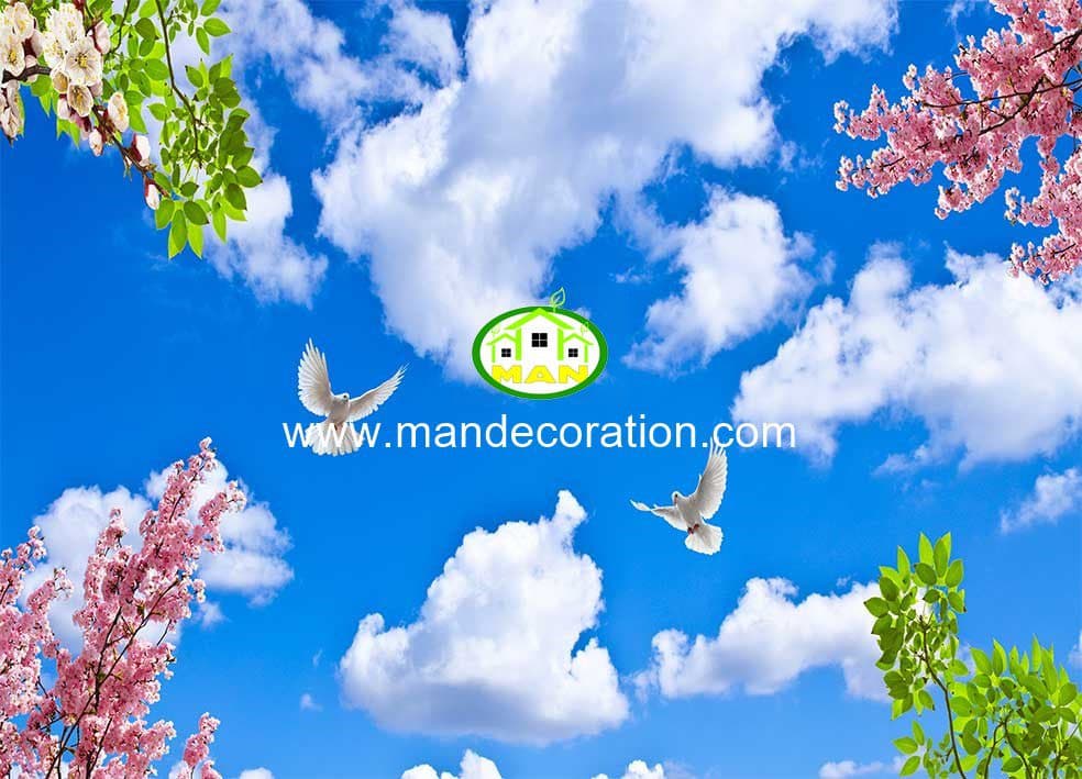 آسمان مجازی آسمان کد 13023