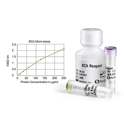 BCA Protein Quantification Kit 100mL پارس توس