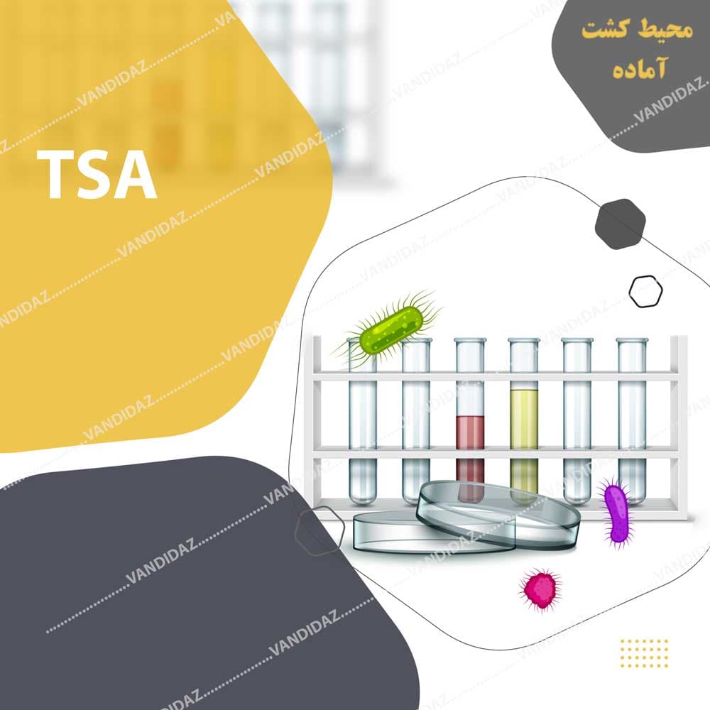 محیط کشت میکروبی آماده TSA