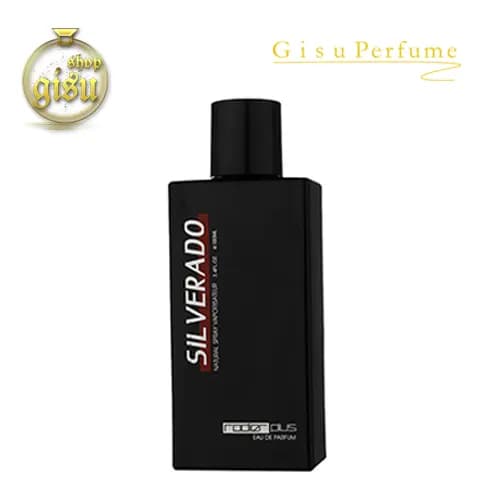 ادکلن رودیر پلاس سیلورادو(Rodier Plus Silverado Eduperfume)-مردانه- حجم 100 میل