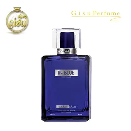 ادکلن رودیر پلاس این بلو(Rodier Plus In Blue Eduperfume)-مردانه- حجم 100 میل