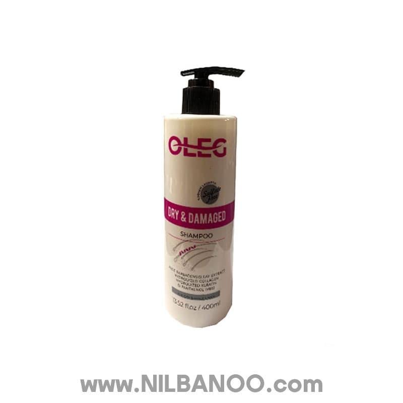 شامپو موهای خشک و آسیب دیده DRY & DAMAGE اولگ حجم 750ml