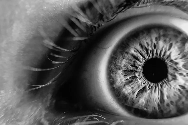 بوم کنواس The eye