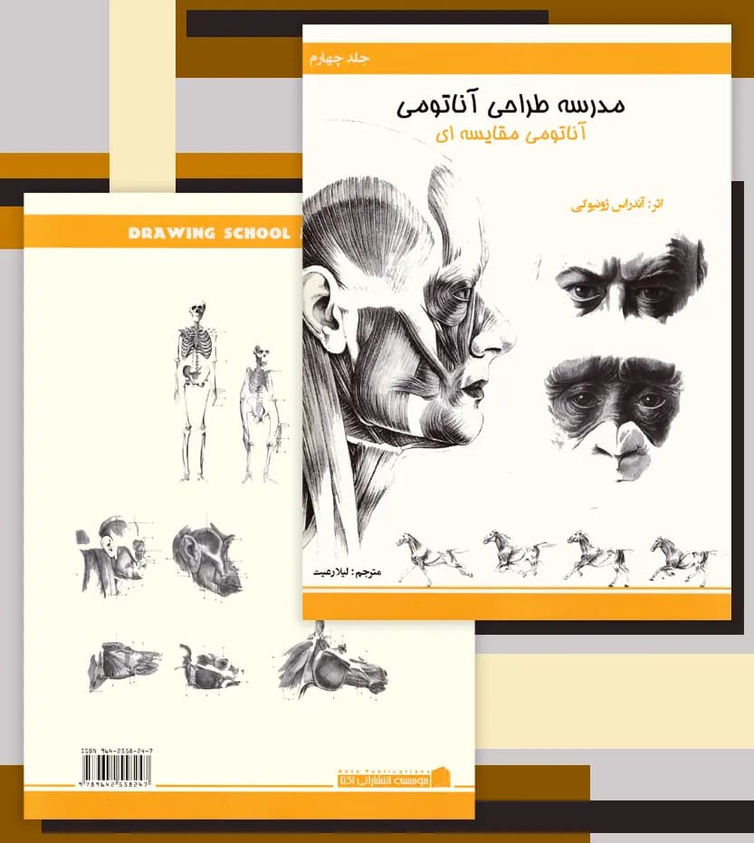 مدرسه طراحی آناتومی: آناتومی مقایسه ای | نشر اکتا | خرید — تصویر ۴