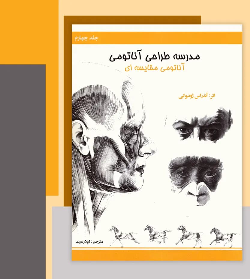 مدرسه طراحی آناتومی: آناتومی مقایسه ای | نشر اکتا | خرید — تصویر ۳