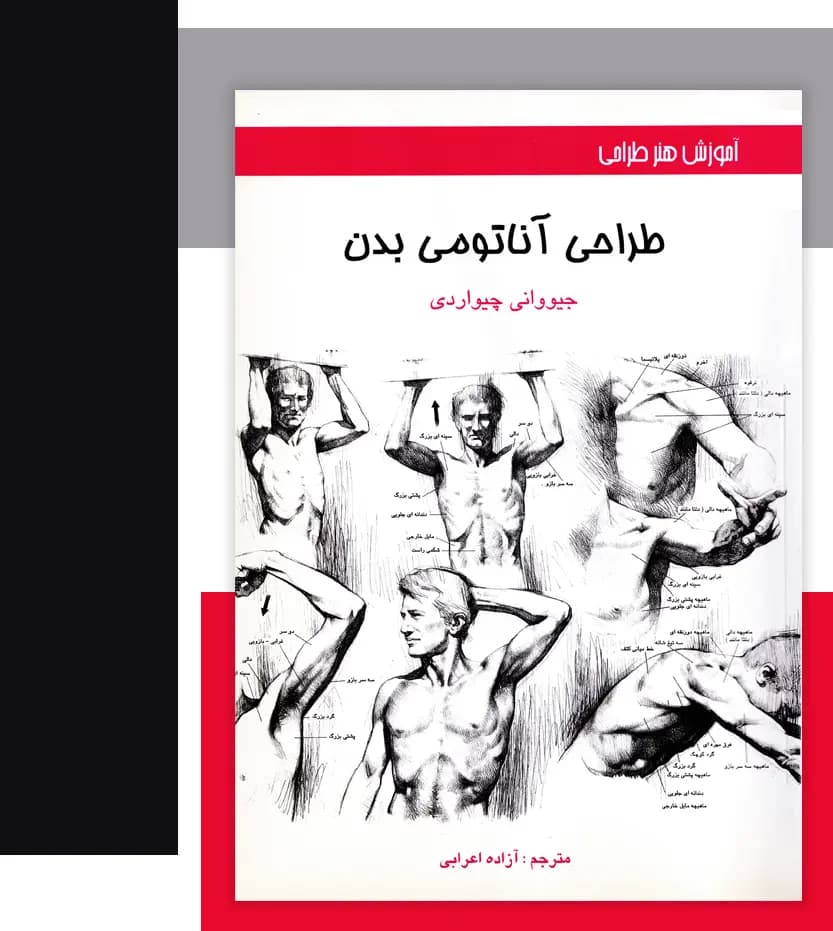 طراحی آناتومی بدن جیووانی چیواردی | نشر اکتا | خرید — تصویر ۳