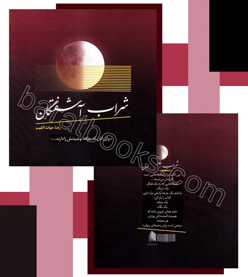 شراب آشفتگان اثر رضا حیات الغیب | نشر سخنوران | خرید — تصویر ۴