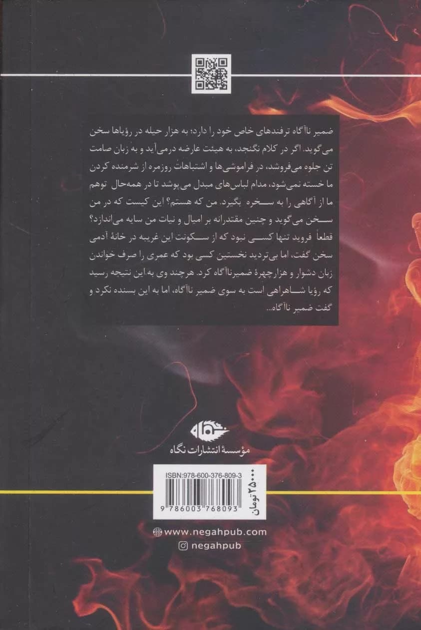 کتاب ضمیر ناآگاه (مفاهیم روانکاوی) — تصویر ۴