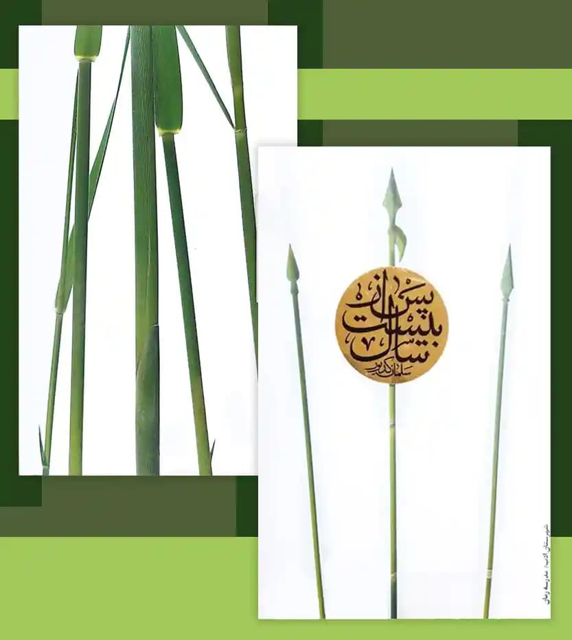 پس از بیست سال اثر سلمان کدیور | شهرستان ادب | خرید کتاب — تصویر ۴