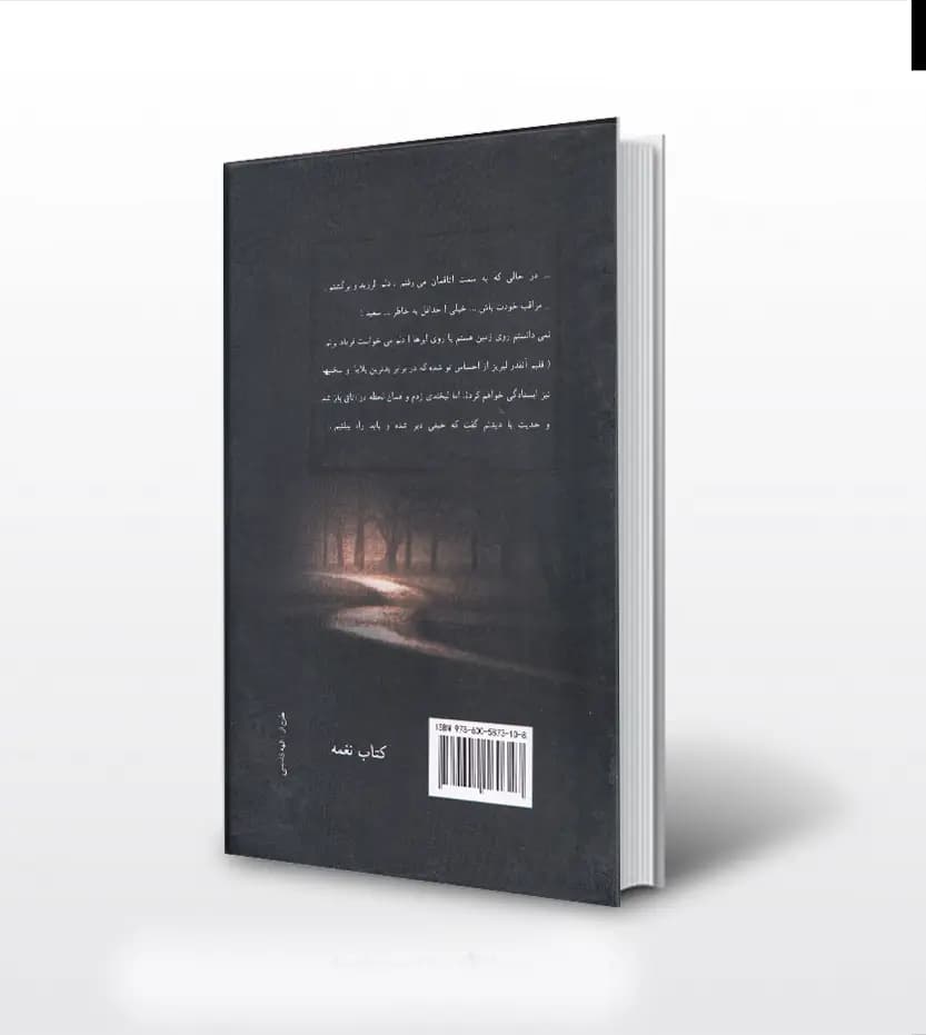 کهربا اثر الهه ذوقی پاکدل — تصویر ۲