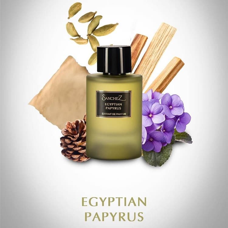 اکستریت پرفیوم سانچز پاپیروس 100میل — تصویر ۳