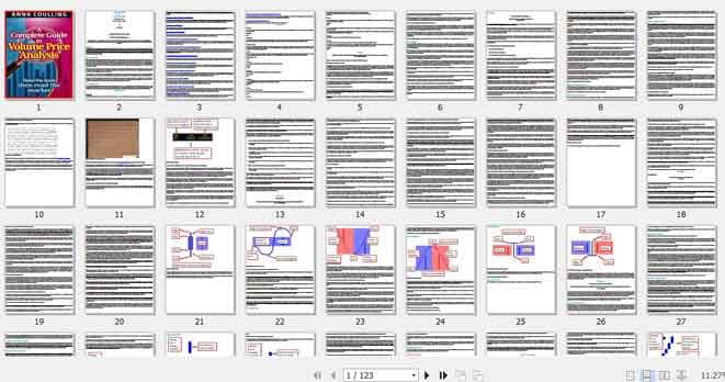 کتاب A Complete Guide To Volume Price Analysis + ترجمه — تصویر ۲