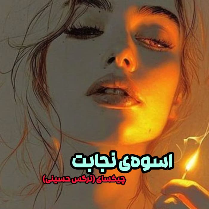 رمان اسوه نجابت | جلد دوم پرواز را به خاطر بسپار | دانلود | کتاب خوان