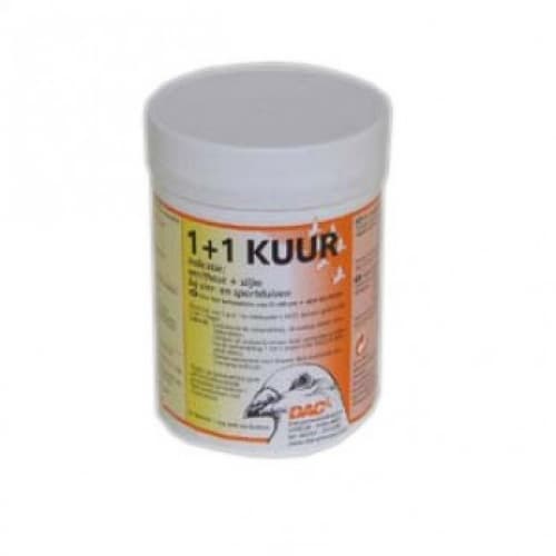 1+1 KUUR داک