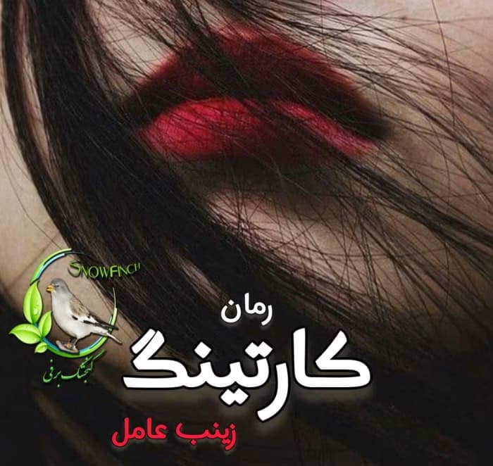رمان کارتینگ | یک عاشقانه هیجانی از زینب عامل | دانلود | کتاب خوان