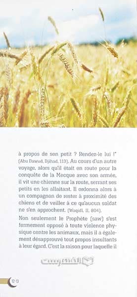 بروشور: Islam et Environnement — تصویر ۲