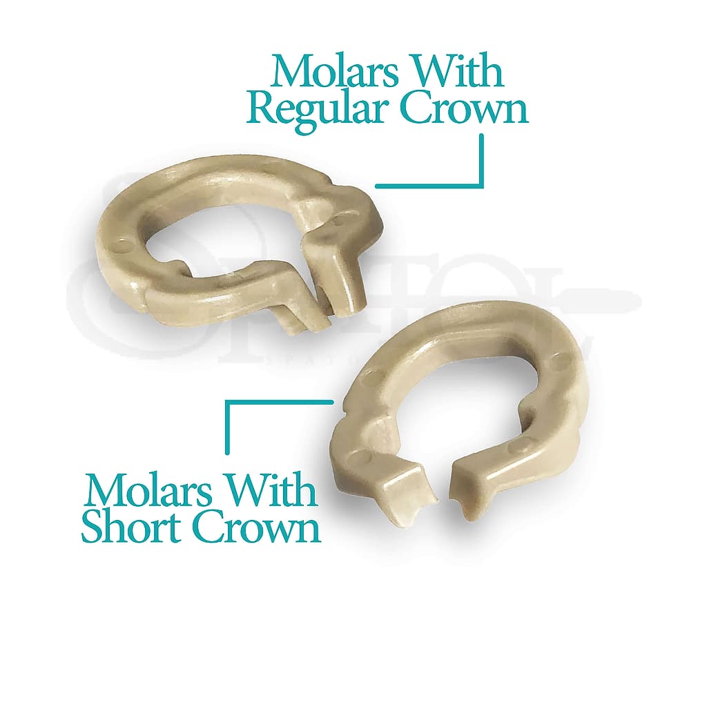 رینگ سکشنال رزینی resin sectional ring برند Zt Dental