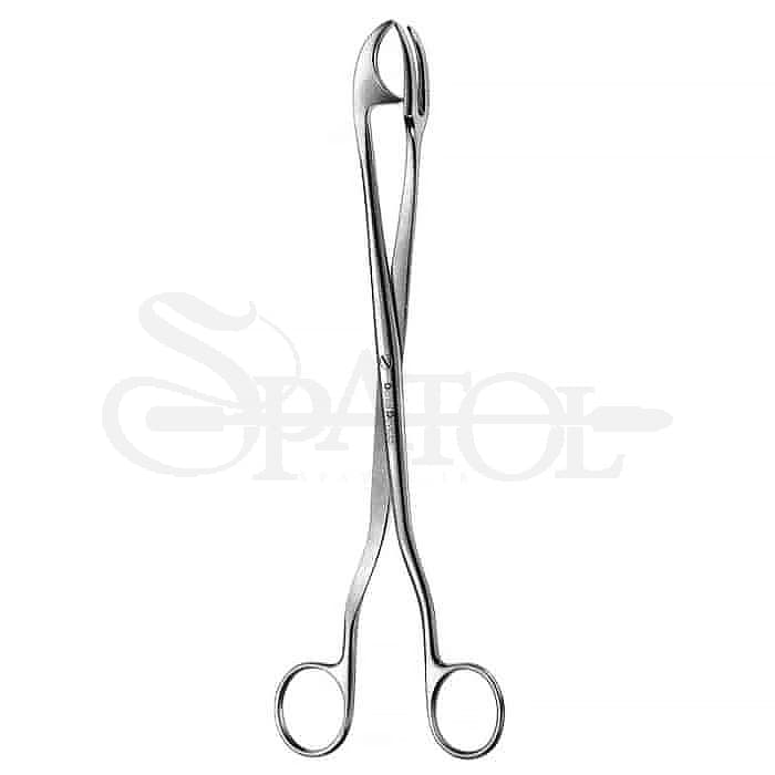 پنس چیتل دنتال دیوایس Dental device