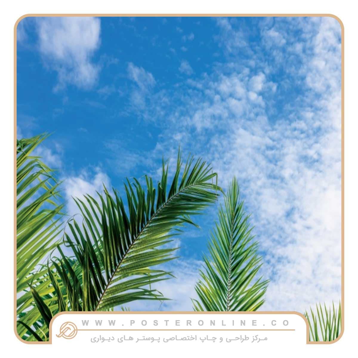 پوستر دیواری سقفی آسمان آبی کد p-14168 — تصویر ۲