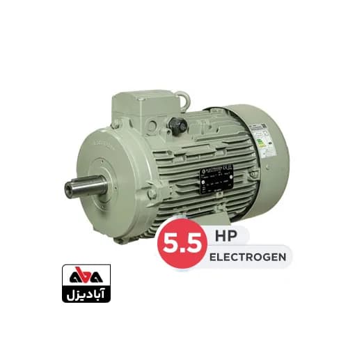 الکتروموتور الکتروژن 5.5 اسب سه فاز 3000 دور