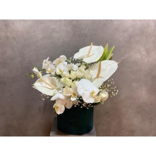 گل فروشی نزدیک شیرینی فروش تهرانپارس غربی تهران sh313
