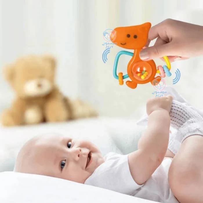ست جغجغه 5 عددی هولا تویز (هولی تویز) Hola Toys 1109 — تصویر ۴