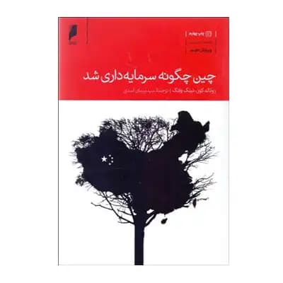 چین چگونه سرمایه داری شد