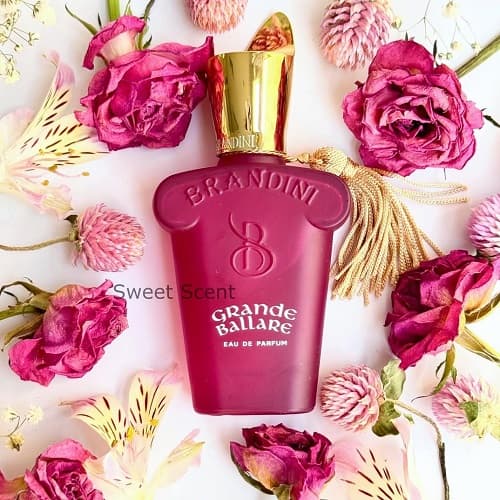 عطر ادکلن مینی کازاموراتی گران-گرن بالو برندینی | Casamorati Gran Ballo Brandini حجم 33 میل(شرکتی) — تصویر ۲