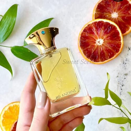 عطر ادکلن آمواج جوبیلیشن مردانه برندینی | Amouage Jubilation for Men حجم 33 میل — تصویر ۲