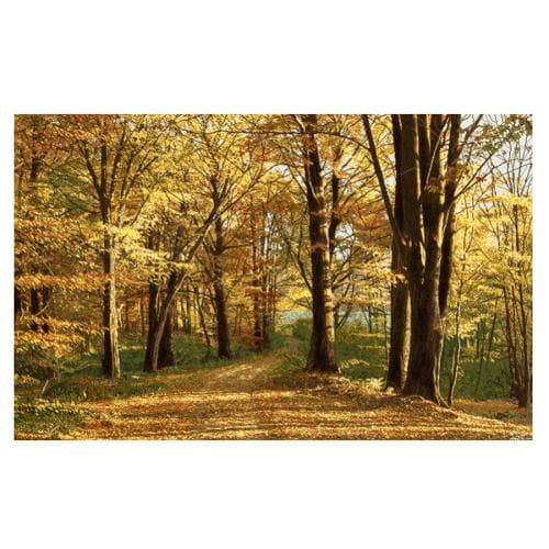 طرح منظره پاییزی کد 23055