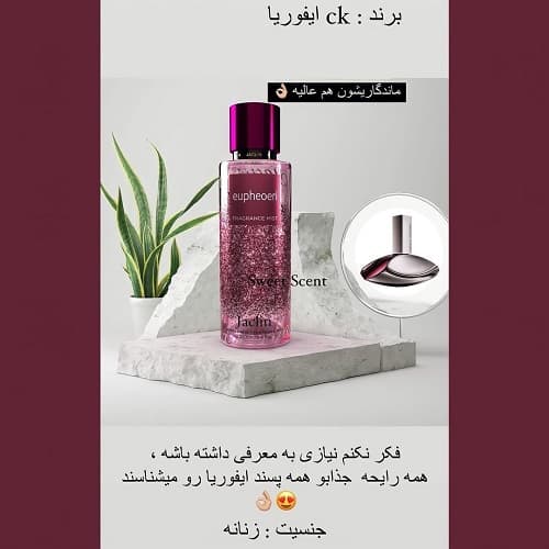 بادی اسپلش زنانه رایحه عطرCK ایفوریا حجم 250 میل(بدون شاین)
