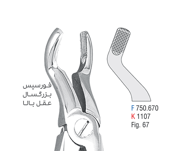 فورسپس عقل فک بالا – کوشا