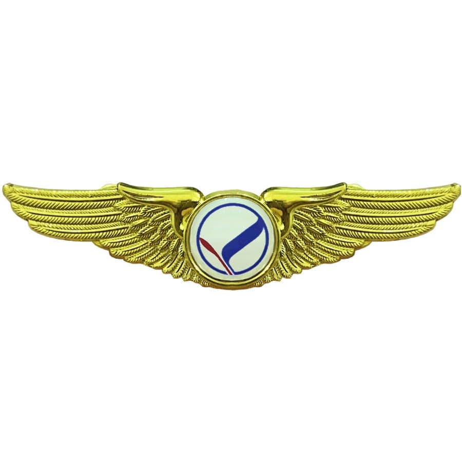 وینگ خلبانی معراج