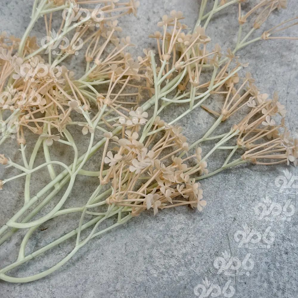 گل بلند شاخه شکوفه 4بازو 5070 — تصویر ۳