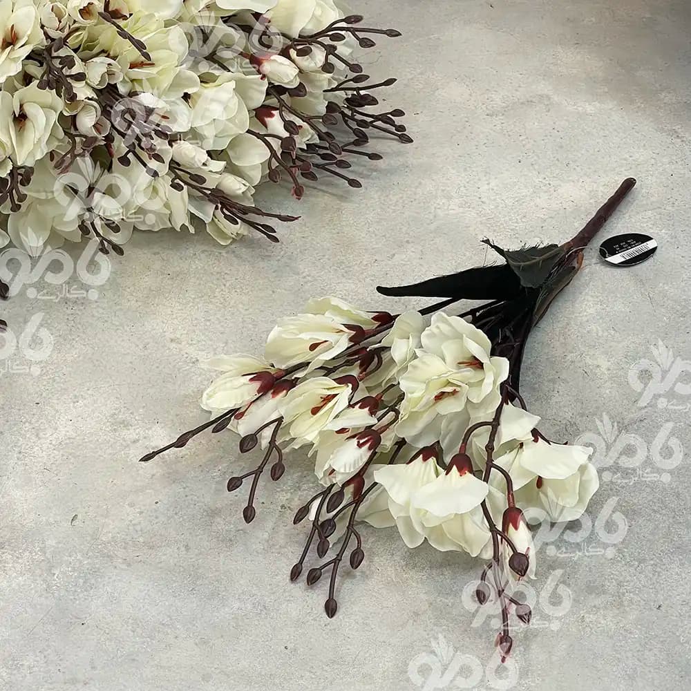 گل بوته ای الستر 00008 — تصویر ۲