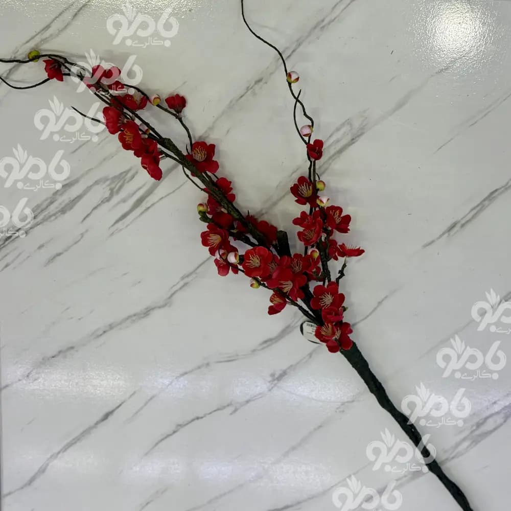 گل بلند شاخه شکوفه ژاپنی 00092 — تصویر ۳