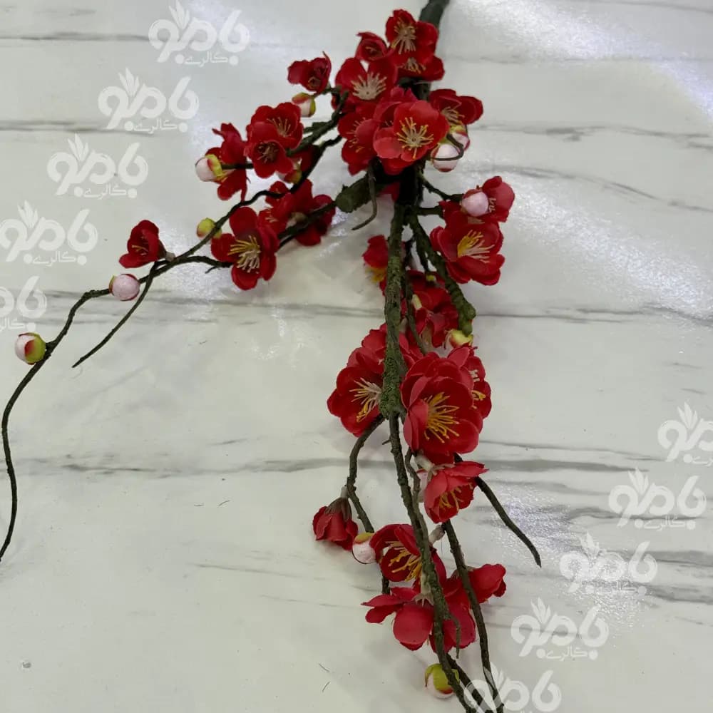 گل بلند شاخه شکوفه ژاپنی 00092 — تصویر ۲