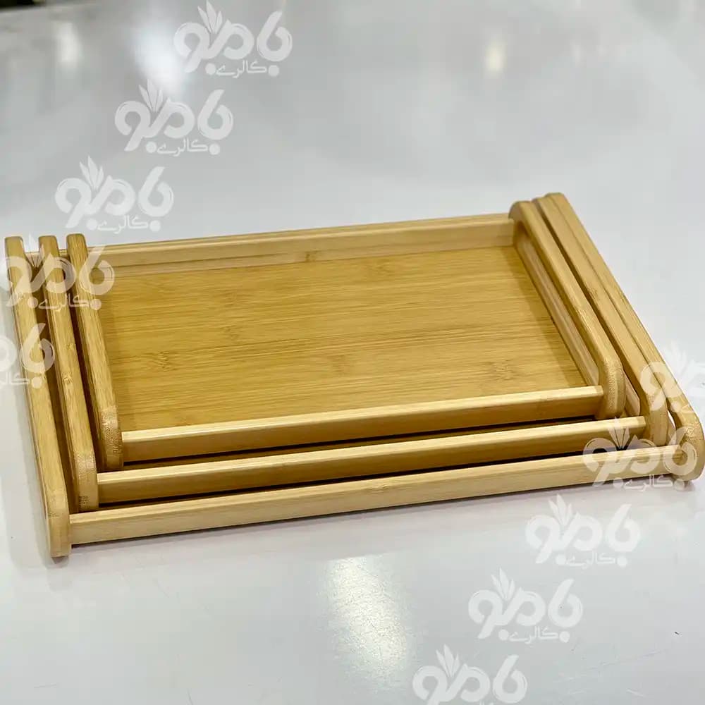 سینی بامبو مستطیل دسته بیضی 600/310