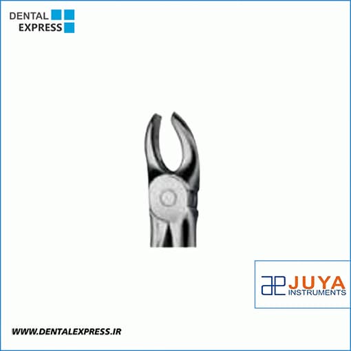 فورسپس بزرگسال مولر بالا راست جویا – JUYA Forceps Upper Molars Right