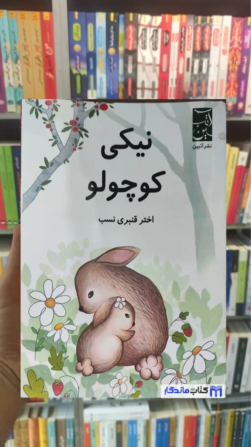 نیکی کوچولو نسب آبتین