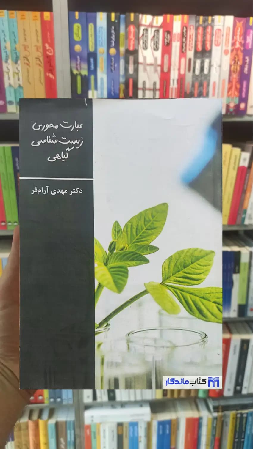 عبارت محوری زیست شناسی گیاهی آرام فر تخته سیاه