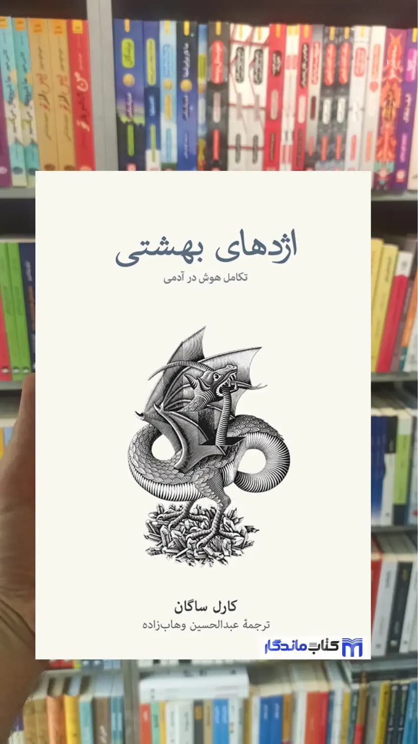اژدهای بهشتی کارل ساگان نشرنو