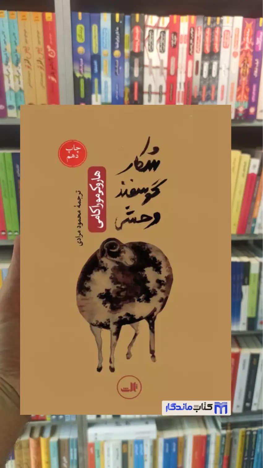 شکار گوسفند وحشی هاروکی موراکامی ثالث