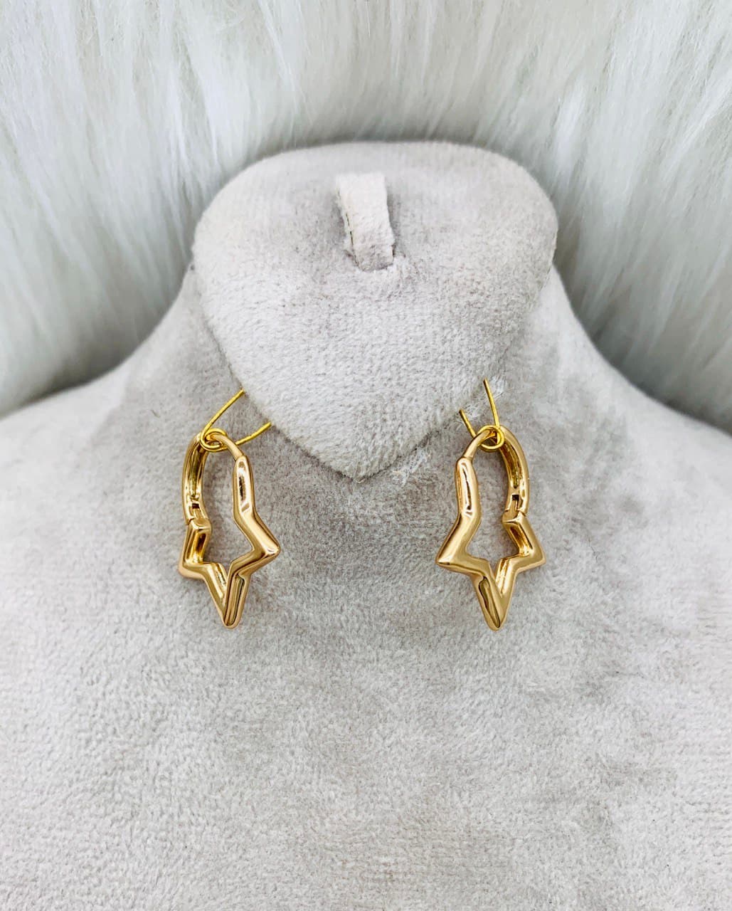گوشواره حلقه ای 2