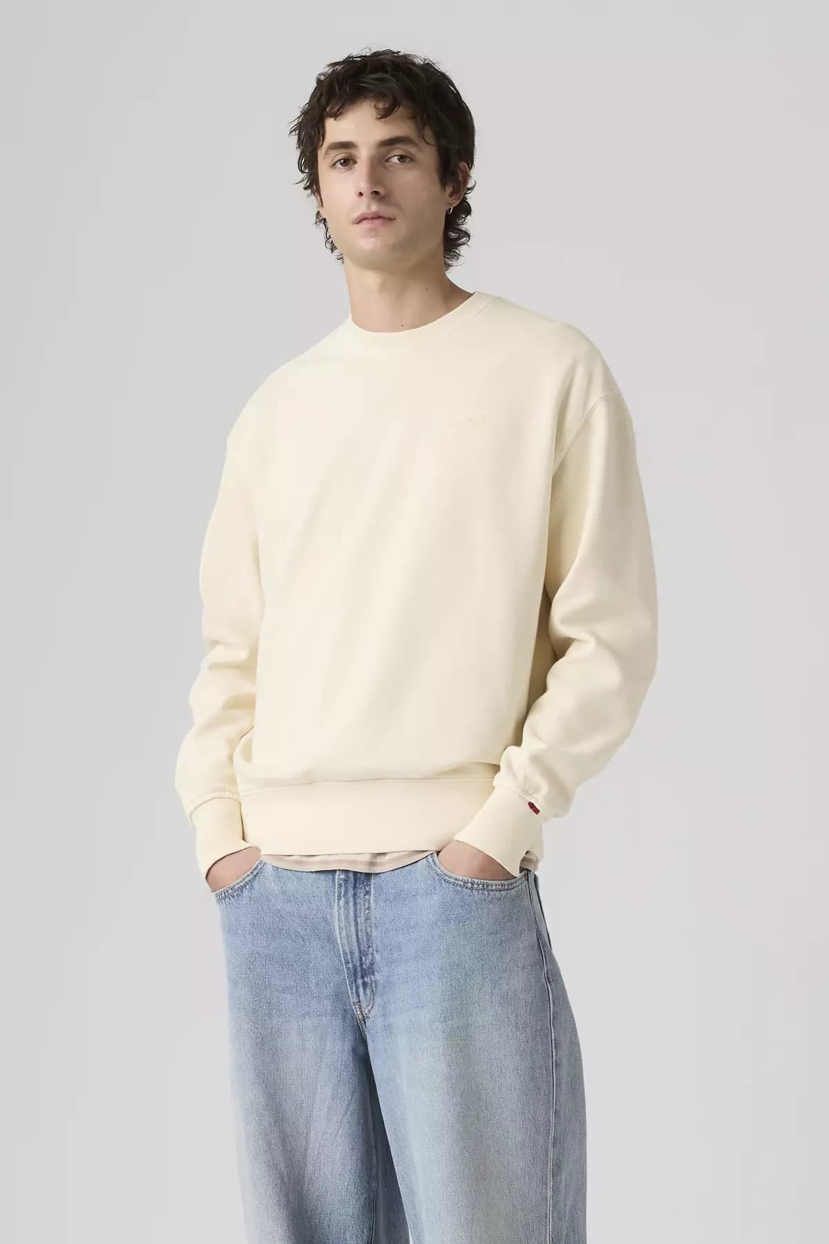 سویشرت لیوایز مردانه پاموک اکرو راسته Relaxed/ریلکس جاگر | Levi’s A9244-0043 PK