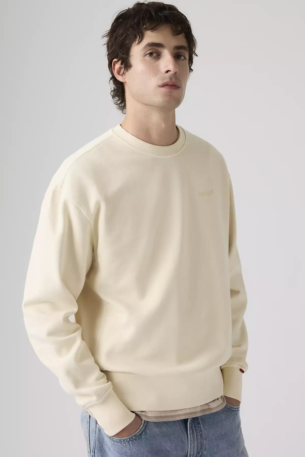 سویشرت لیوایز مردانه پاموک اکرو راسته Relaxed/ریلکس جاگر | Levi’s A9244-0043 PK — تصویر ۲