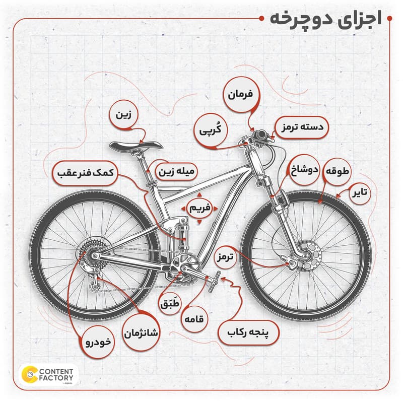 دوچرخه کوهستان المپیا مدل Summer s80 سایز طوقه 26 — تصویر ۴